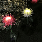Lampe Solaire LED de Chrysanthèmes Artificiels pour Jardin