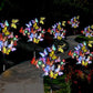 Lampes solaires d'extérieur pour papillons