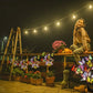 Lampes solaires d'extérieur pour papillons